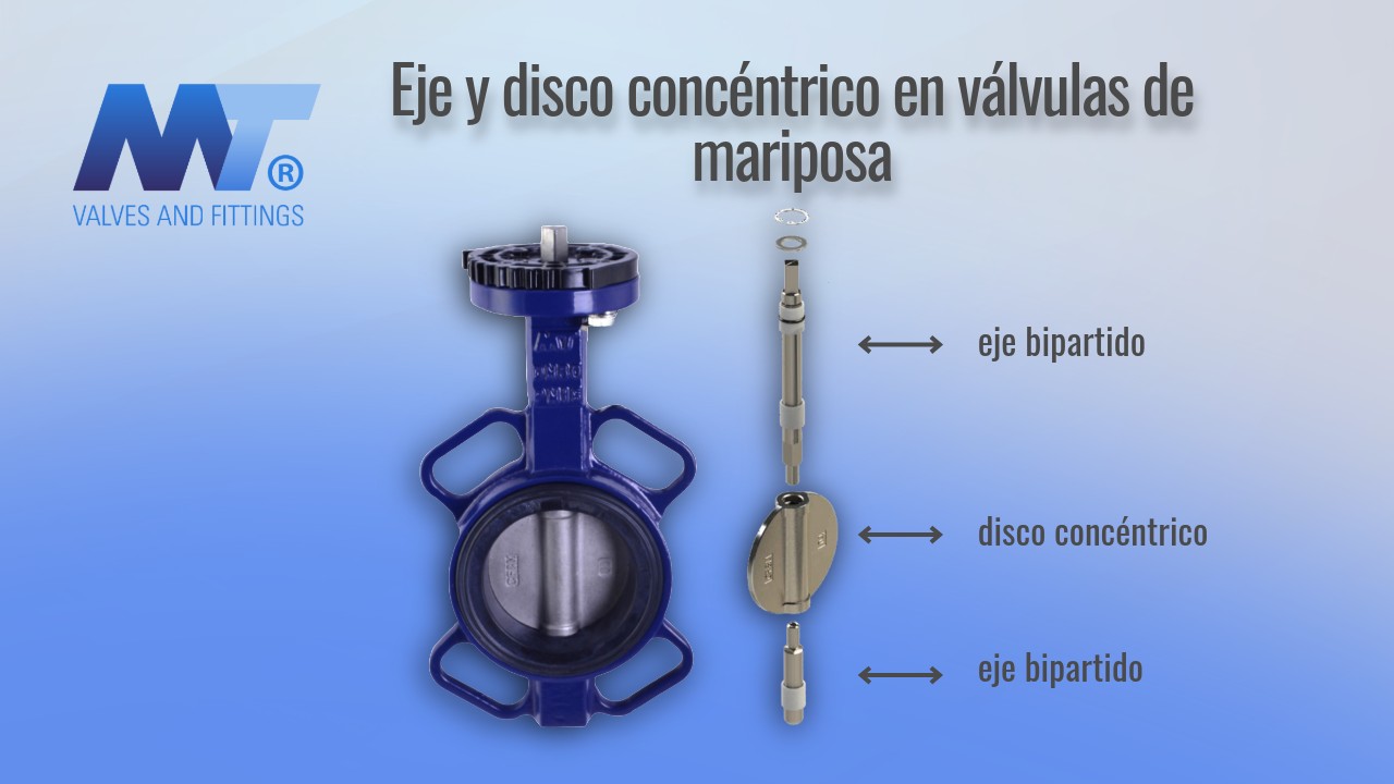Eje y disco concéntrico en válvulas de mariposa: clave para un control eficiente del flujo
